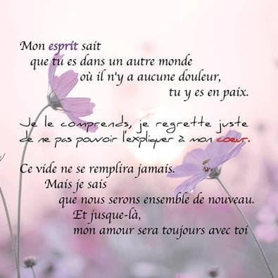 Hommage à ma tendre Bouchon