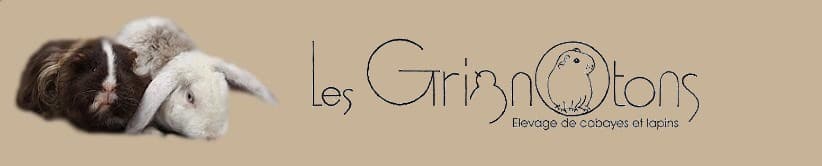 Logo des grignotons